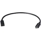 iTEC USB-C auf USB-C Adapter 30 m Schwarz