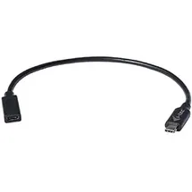 iTEC USB-C auf USB-C Adapter 30 m Schwarz