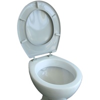 VCM WC Sitz Toilettendeckel Klodeckel Toilettensitz Deckel Brille Klobrille Iseo Verstellbare Scharniere Grau