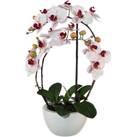 Creativ-green Kunstpflanze Phalaenopsis, 3D-print im Keramiktopf, 52 cm, rosa,