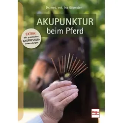 Akupunktur beim Pferd