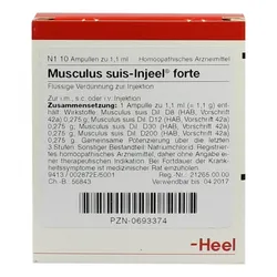 Musculus suis Injeel forte Ampullen