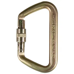 ISC Karabiner Iron Wizard Screwgate
