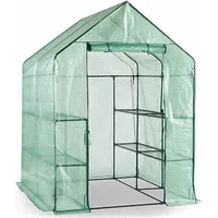 Escala Gewächshaus Treibhaus Glashaus Frühbeet (143 x 143 x 195 cm) Grün