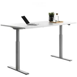 TOPSTAR Schreibtisch E-Table weiß / grau