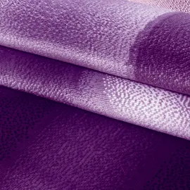 Ayyildiz Kurzflorteppich Plus 8008 Violett 120 cm x 170 cm