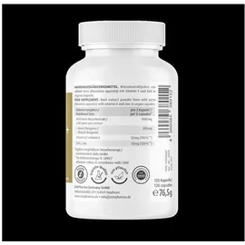 Zein Pharma Wild Yams Plus Kapseln 120 St.