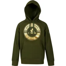adidas Hoodie Combat Sports grün/Gold XS