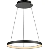 Paul Neuhaus HOOP LED