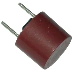 SCHARNBERGER+HASENBEIN Kleinstsicherung 62732