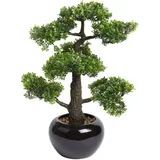 Botanic-Haus Emerald Kunstpflanze Bonsai Ficus Grün 47 cm 420006