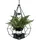 DanDiBo Ambiente Blumenampel Innen Metall 34 x 82 x 34 cm