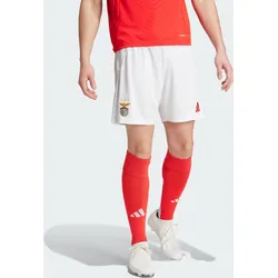 Benfica Lissabon 24/25 Heimshorts XL