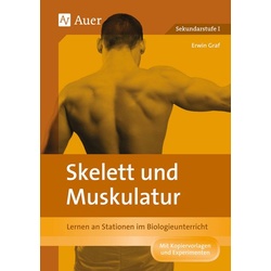 Skelett und Muskulatur