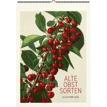 favoritenpresse gmbh Alte Obstsorten. Wandkalender 2026: Motive aus »Deutschland’s Obstsorten« von Müller/Bissmann/Poenicke