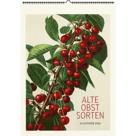 favoritenpresse gmbh Alte Obstsorten. Wandkalender 2026: Motive aus »Deutschland’s Obstsorten« von Müller/Bissmann/Poenicke