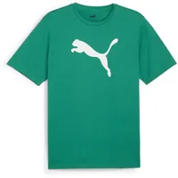 Puma Herren teamRISE Logo Jersey Cotton Sport green/puma white