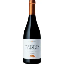 Cabriz Reserva Tinto Cabriz 2019