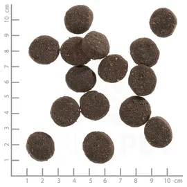 Wolfsblut Blue Mountain 12,5 kg