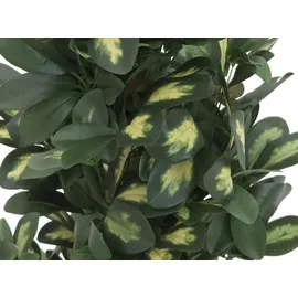 Europalms Schefflera, 120cm