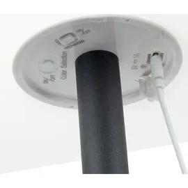 Schwaiger Solar-Stehleuchte 1,5 m RGB - Weiß/Schwarz