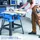 SCHEPPACH HS105 2000 W