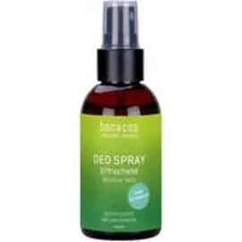 benecos Natural Basics Deo Spray Bio-Aloe Vera 75 ml