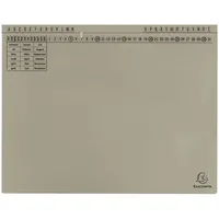 Exacompta 25x Exaflex Standard, Hängehefter mit 1x Abheft, Grau,