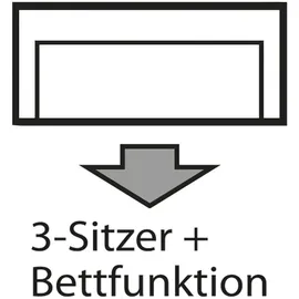 INOSIGN 3-Sitzer INOSIGN "BEATRICE, B: 250 cm - wahlweise mit Bettfunktion", grau, B:250cm H:92cm T:107cm, Sofas, u. Bettkasten, incl. 2 Zierkissen