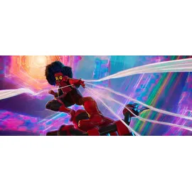 Spider-Man: Across the Spider-Verse
