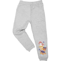 UNITED LABELS Jogginghose Grau 110