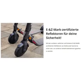 Segway Ninebot E45D E-Scooter (9 Zoll, Grau)