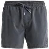 QUIKSILVER Everyday Surfwash Volley 15 Badeshorts Schwarz XS