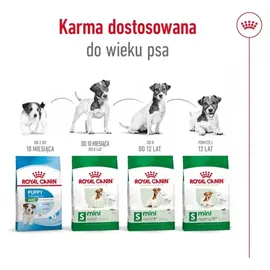 Royal Canin Mini Adult 8+ 800 g