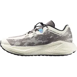 Salomon Aero Glide 4 GRVL Herren Vanilla Ice/Black 48
