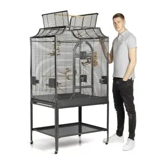 Montana Cages Madeira III Antik (K35064)