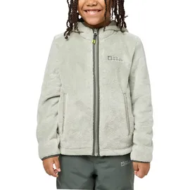 Jack Wolfskin Unisex Kinder Nepali G, Mint Leaf, 104 EU