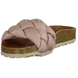 Verbenas Rai Roda rose 38