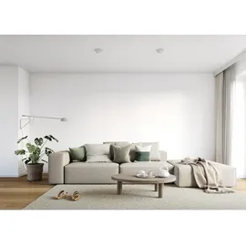 Alpina Silikat Wohnweiß 10 l