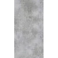 Euro Stone Bodenfliese Feinsteinzeug Gris 120 x 240 cm grau