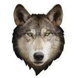 Madd Capp Shape Puzzle Wolf