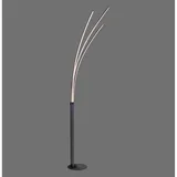 just light. Stehleuchte Maja Schwarz 80 x 215 cm