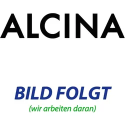 ALCINA Puderpinsel