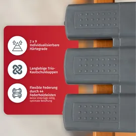 erbengemeinschaft heinz-peter fischer, fmp matratzenmanufaktur 7 Zonen Lattenrost Rhodos KF 100x200 44 Leisten mit BETTKASTENFUNKTION mit Gasdruckfedern. Qualität aus Deutschland