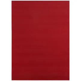 RugsX Rumba Teppichläufer 60 x 100 cm Rot