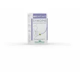 Prodeco Pharma Deutschland GmbH Gse Intimo Symgine Schluck