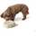 Hunter Lugo Leckerlitasche 13x11x5 cm Beige