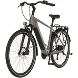 Fischer Viator Move 01 474 D 28 Zoll RH 52 cm Unisex grau