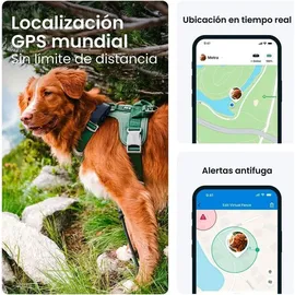 tractive GPS Tracker Hund 2025 Edition Live-Ortung Weglaufalarm Aktivitätstracking Gesundheitswarnungen Bellverhalten Empfohlen von Mart