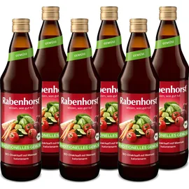 Rabenhorst Traditionelles Gemüse 6er Pack (6 x 700 ml)